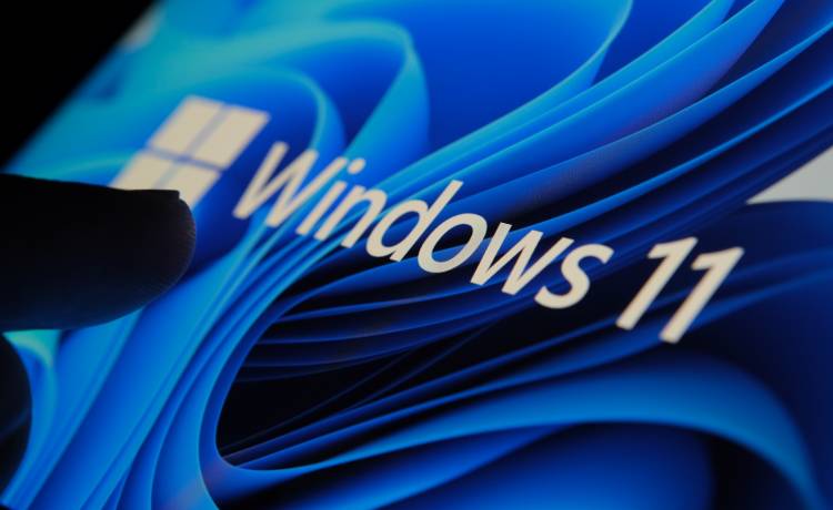 Windows 11, fot. Shutterstock/mundissima