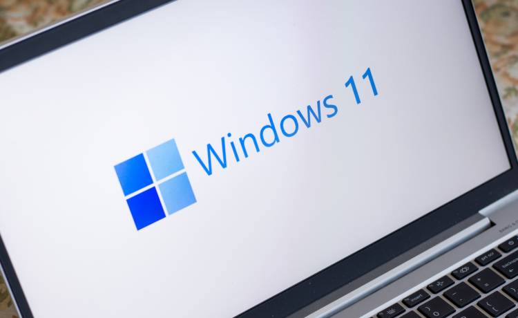 Windows 11, fot. Shutterstock/sdx15