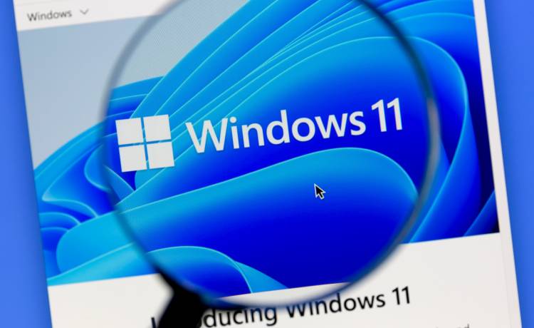 Windows 11, fot. Shutterstock/IB Photography