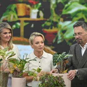 Polsat oficjalnie poinformował. Co dalej z Ibiszem?