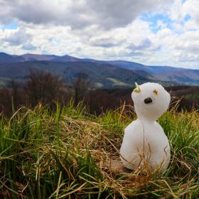 Wiosna w kalendarzu. Czym różnią się kalendarzowa, meteorologiczna i astronomiczna?