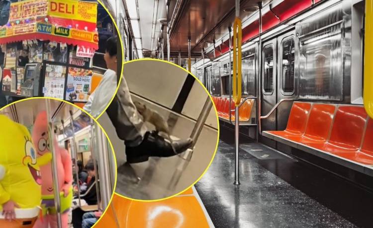 Fot. Shutterstock/Igor Link, TikTok/@raab.angie