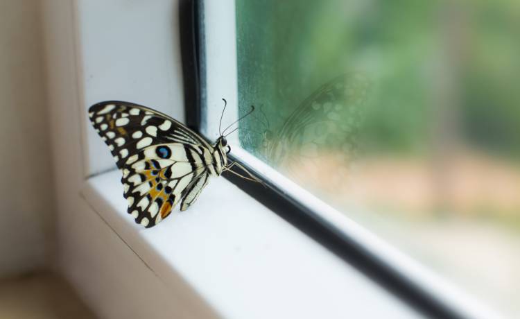 fot. shutterstock.com