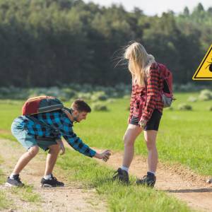 To skutecznie odstarsza kleszcze! Ekspert mówi jasno