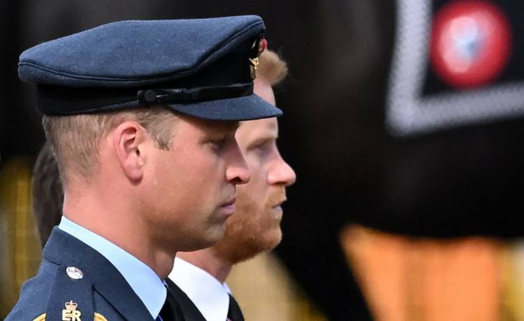 William i Harry. Fot. JUSTIN TALLIS/AFP/East News