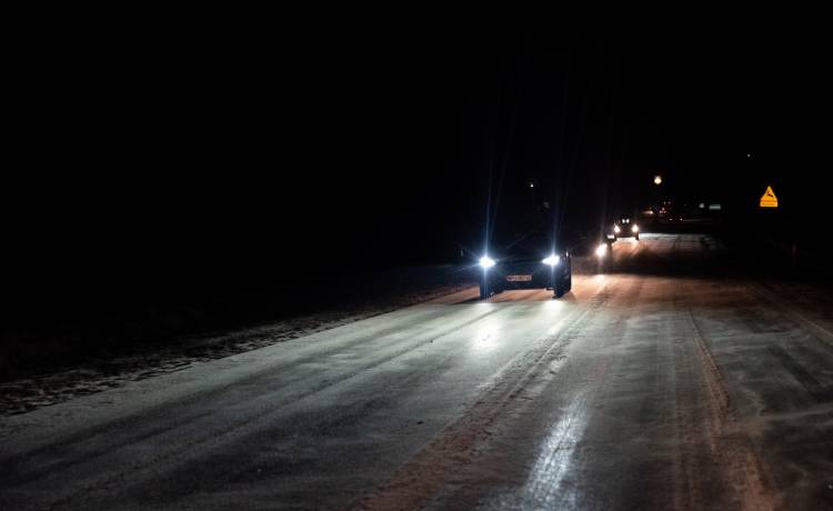 Bliskie spotkanie z żubrem! Leśnicy apelują [WIDEO]