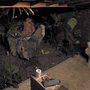 "Hotel Paradise 2". Seks przed kamerami. Dwie pary w miłosnych uniesieniach                         