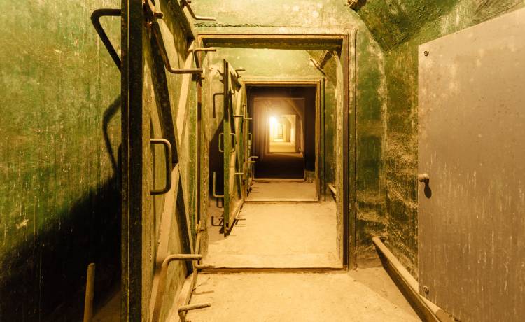 W piwnicy domu zmarłego ojca znaleźli tajemnicze pakunki. Ich zawartość zdumiewa [WIDEO]