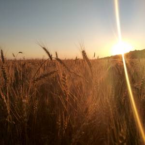 Pogoda na weekend majowy. Synoptycy opublikowali prognozy