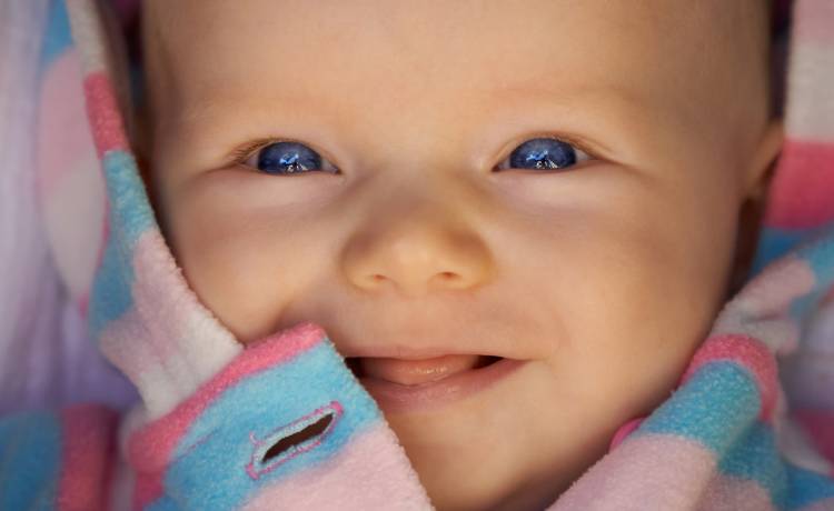 fot. shutterstock.com