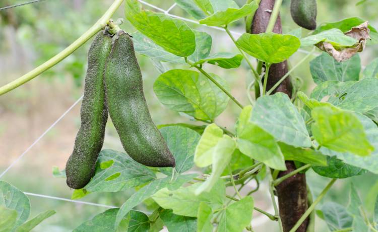 fot. shutterstock.com