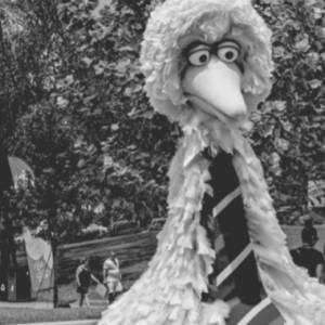 Żałoba na Ulicy Sezamkowej. Odtwórca roli Wielkiego Ptaka nie żyje