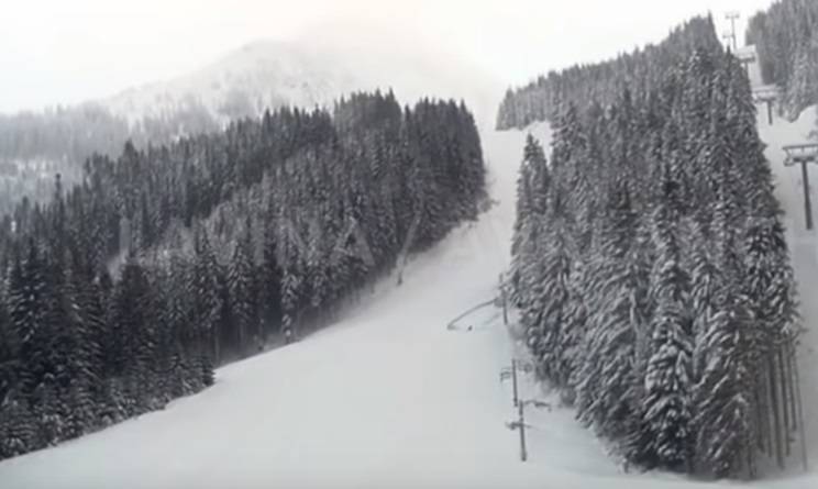 Wywołali lawinę, by uniknąć śmiertelnego niebezpieczeństwa [ZOBACZ WIDEO]