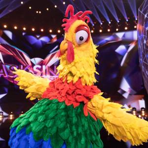 "Mask Singer". Widzom udało się odkryć tożsamość Koguta? To twardy orzech do zgryzienia