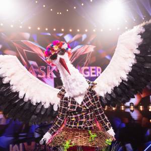 "Mask Singer". Nie ma już żadnych wątpliwości? Widzowie są pewni, kim jest Bocian