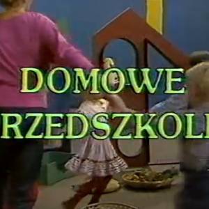 Pamiętacie "Domowe przedszkole"? Nie uwierzycie, kim teraz jest chłopiec z czołówki!