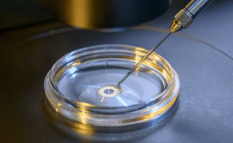 Dawca spermy pozywa klinikę. Jego nasienie zostało wykorzystane bez zgody