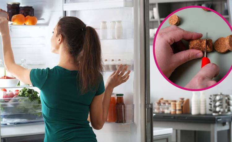 fot. shutterstock.com