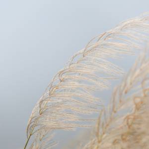 IMGW ostrzega przed silnym wiatrem! Prognoza pogody na niedzielę 10 lutego                                                                                                  