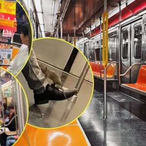 Niewiarygodne! Zobacz, co można spotkać w nowojorskim metrze