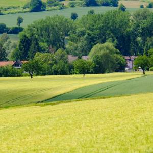 Bożeny i Bożenny co roku przyjeżdżają do Bożenkowa