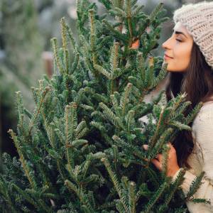 Kiedy rozebrać choinkę? Są do wyboru aż trzy daty