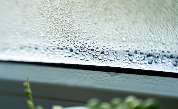 fot. shutterstock.com 