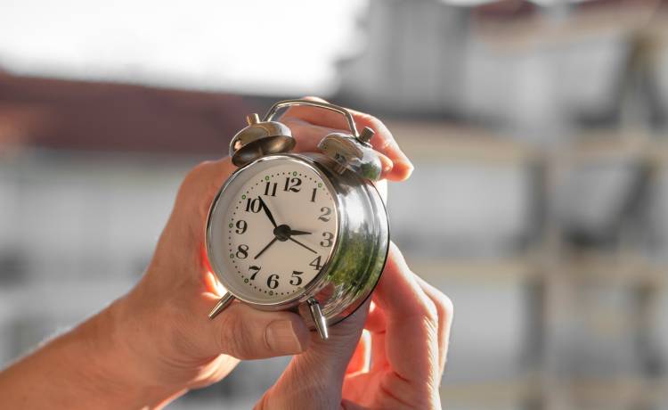 Fot. Shutterstock/conzorb