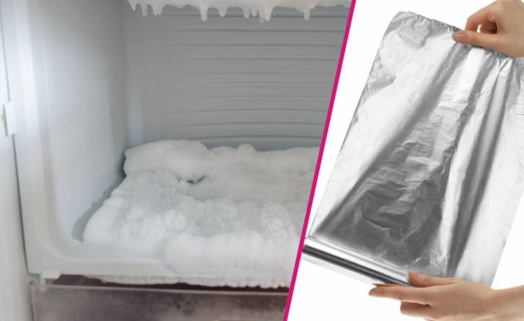 fot. shutterstock.com 