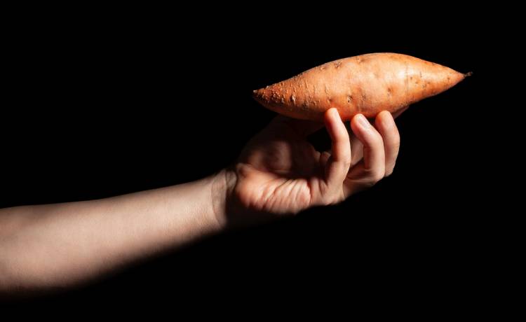 fot. shutterstock.com 