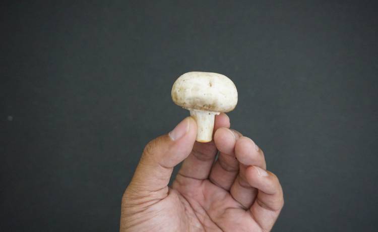 fot. shutterstock.com