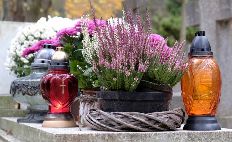 fot. shutterstock.com