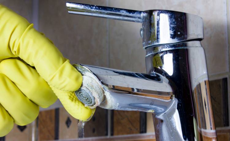 fot. shutterstock.com 