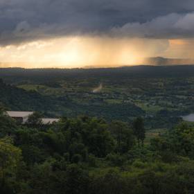 Deszcz wart miliardy dolarów – nowa wycena lasów tropikalnych