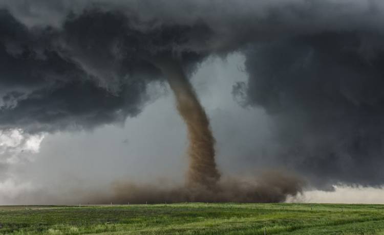 Tornado porwało niemowlaka. Dziecko bez obrażeń odnaleziono na drzewie