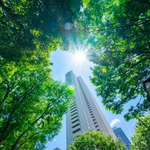 Powstanie miasto o zerowej emisji dwutlenku węgla. Arabski książę zapowiedział rewolucję