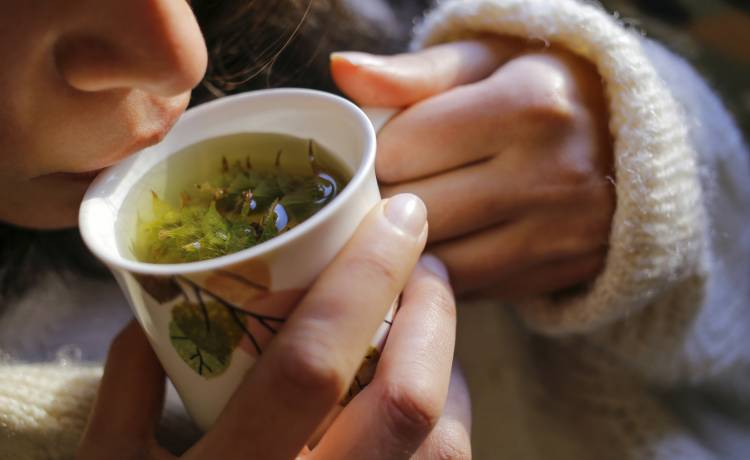 O jeden serniczek za dużo? 5 sprawdzonych ziół na trawienie! 