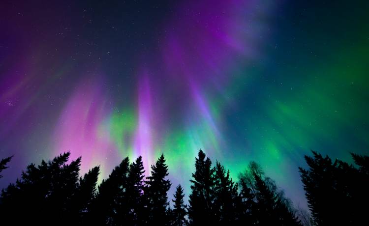 Zorza polarna nad Szkocją. Niebo rozbłysło kolorami nie z tego świata! [FOTO]