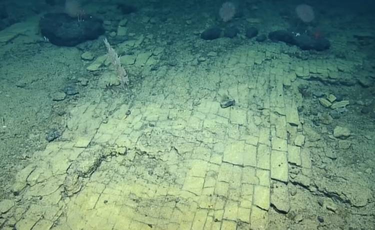 Intrygujące odkrycie na dnie Pacyfiku. Wygląda, jak "droga do mitycznej Atlantydy" [WIDEO]