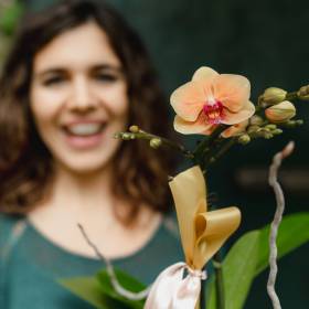 Storczyk marnieje? Wystarczą trzy kostki lodu. Orchidea będzie rosła, jak szalona