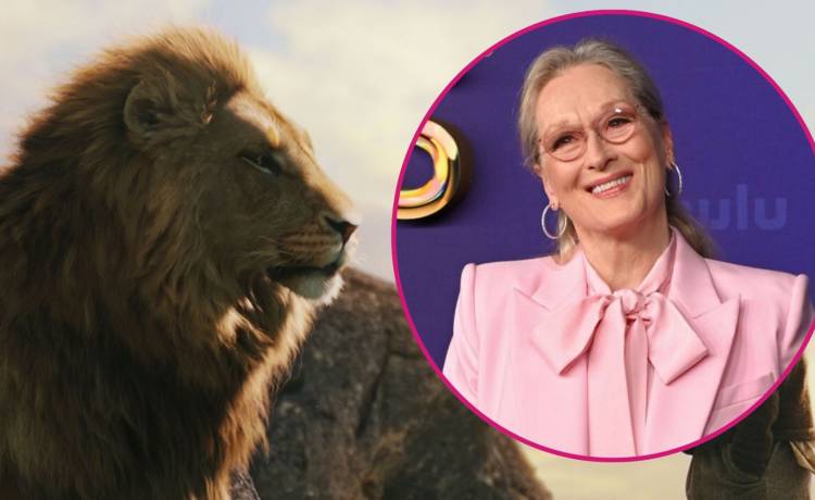 Meryl Streep zagra lwa Aslana, fot. 90061/PAP/DPA; Rex Features/East News