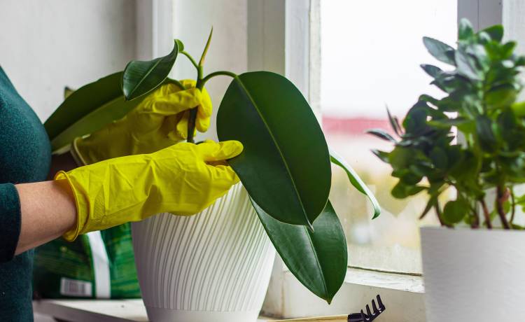 fot. shutterstock.com 