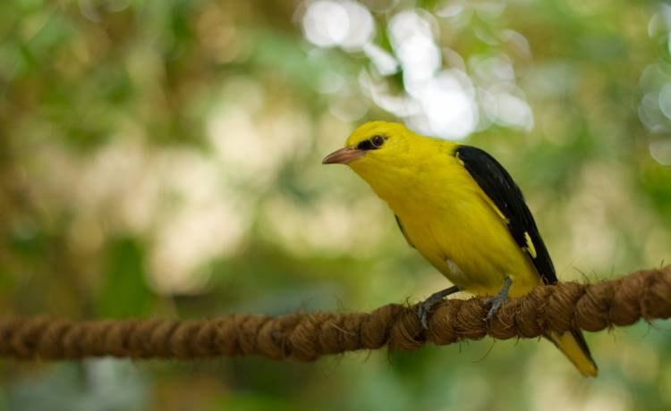 fot. shutterstock.com