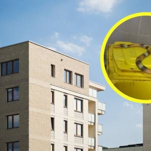 Nietypowa interwencja w Krakowie. "Groźny wąż" w śmietniku 