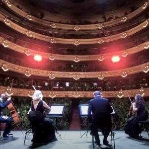 Muzycy zagrali niezwykły koncert dla... 2300 roślin! [WIDEO]