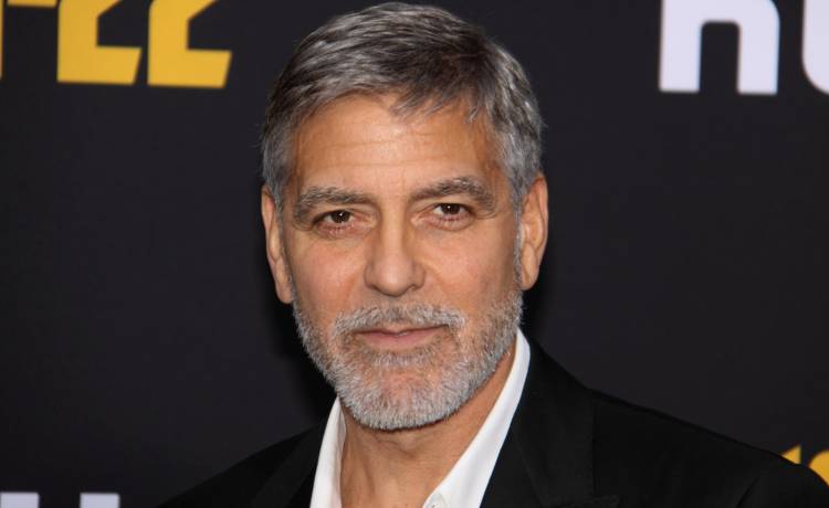 fot. Serge Rocco/Shutterstock