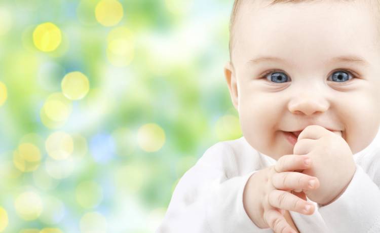 fot. shutterstock.com