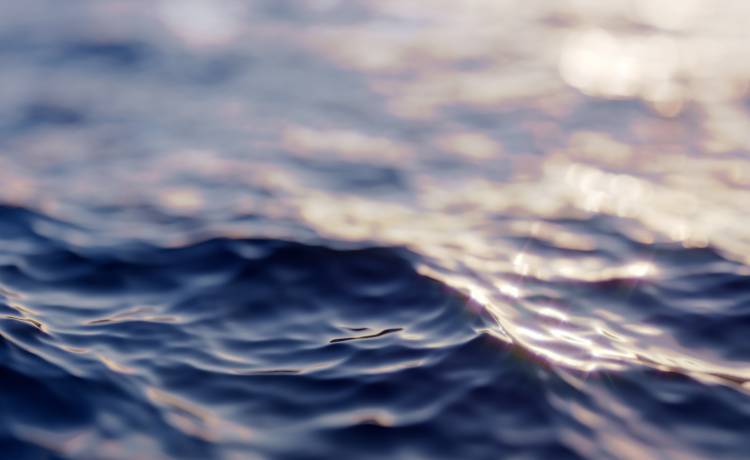 Rekin-mutant z ludzką twarzą wyłowiony! Zdjęcia przerażającego stworzenia trafiły do sieci [FOTO]