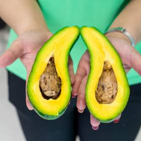 Jesz codziennie awokado? Tak wpływa na twój organizm. Naukowcy wyjaśniają