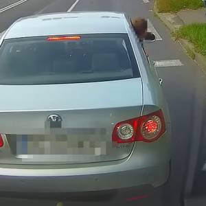 Dziecko niebezpiecznie wychyla się z jadącego samochodu. Szybka reakcja innego kierowcy [WIDEO]